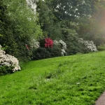 Bowling Park Community Food Garden Launch