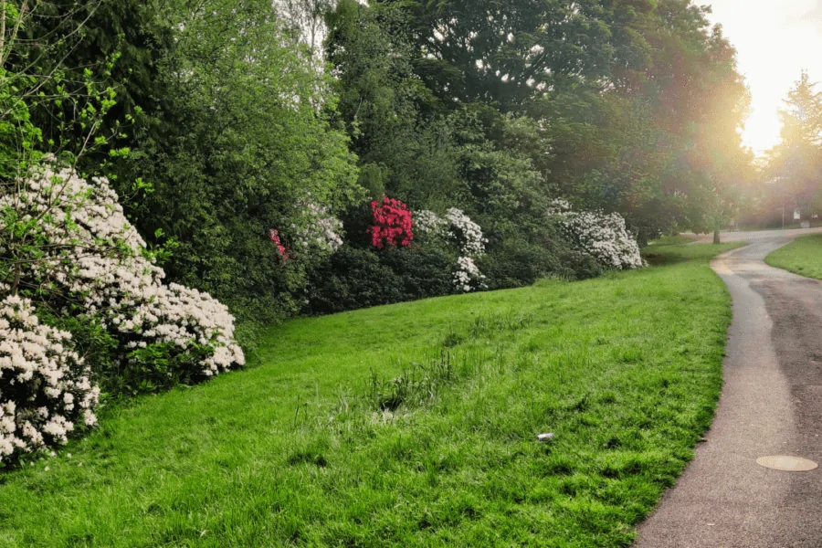 Bowling Park Community Food Garden Launch